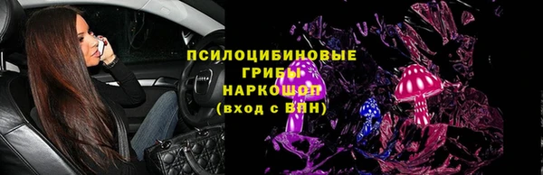 спиды Горняк