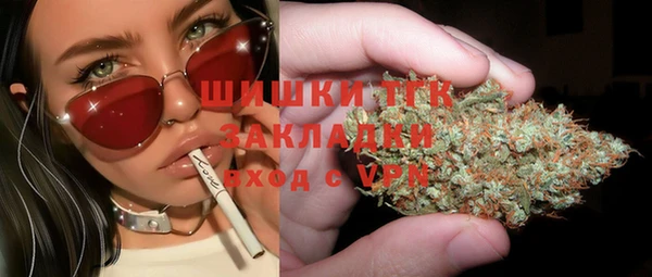 спиды Горняк