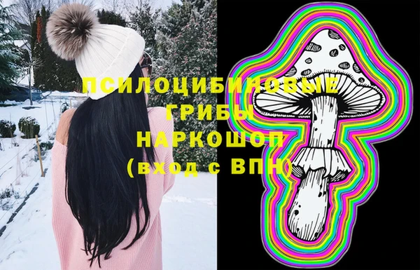 спиды Горняк