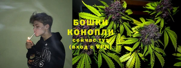 гидра Магас