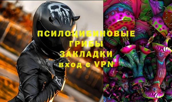 соль ск Горнозаводск