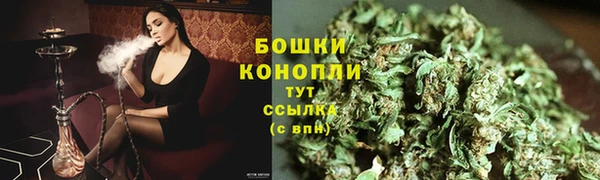 гашик Горно-Алтайск