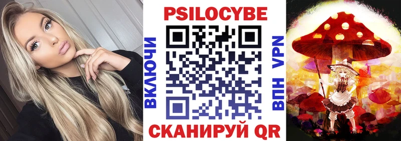 Псилоцибиновые грибы GOLDEN TEACHER цены наркотик Дивногорск