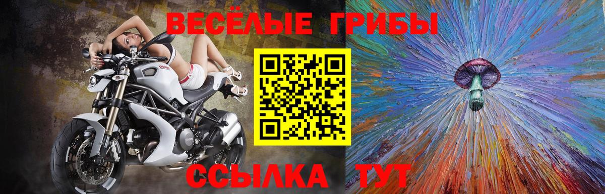 Дивногорск  Галлюциногенные грибы ЛСД  Вход с VPN  Галлюциногенные грибы Magic Shrooms 